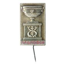 Значок Павловск