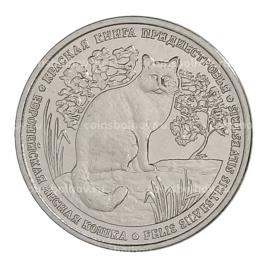 Монета 1 рубль 2020 года Приднестровье — Красная книга — Европейская лесная кошка
