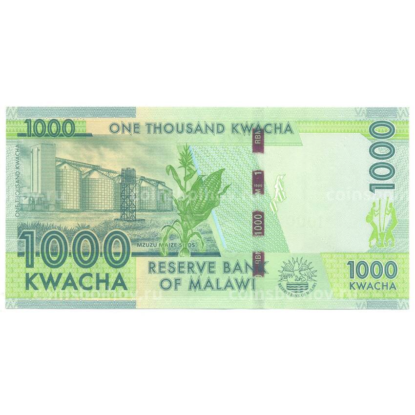 Банкнота 1000 квача 2016 года Малави (вид 2)