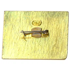 Значок Тургеневский Бережок (вид 2)