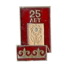 Значок 25 лет