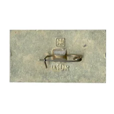 Значок 50 лет (вид 2)