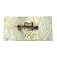 Значок 1812 года Музей — Панорама Бородино (вид 2)