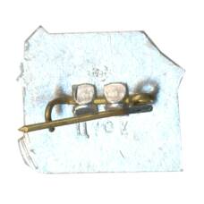 Значок Рига (вид 2)