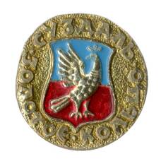 Значок Золотое кольцо — Суздаль