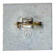 Значок «ДСМ — 20 лет» (вид 2)