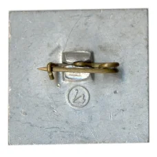 Значок «ДСМ — 20 лет» (вид 2)