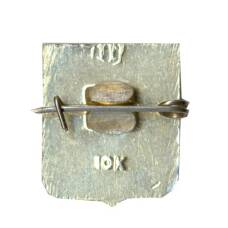 Значок Лужники (вид 2)