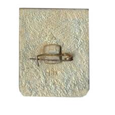 Значок Гусь-Хрустальный (вид 2)