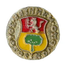 Значок Золотое кольцо — Вязники