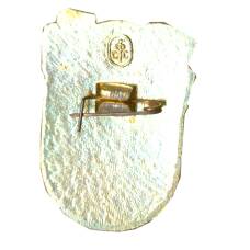 Значок «Участник массового забега» (вид 2)