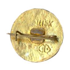 Значок Волгоград (вид 2)