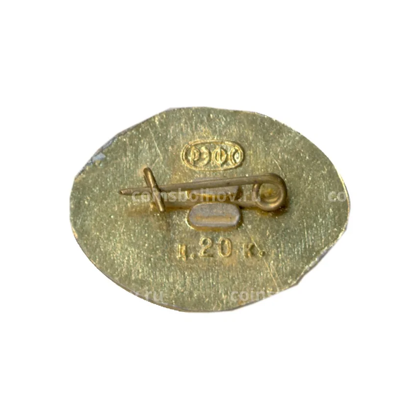 Значок Ростов-на-Дону (вид 2)