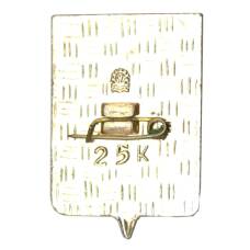 Значок Кировск (вид 2)