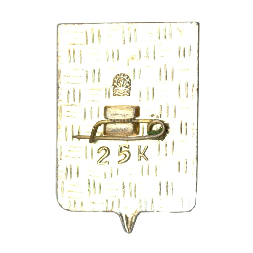 Значок Кировск (вид 2)