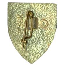 Значок Симферополь (вид 2)