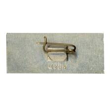 Значок Ярославль (вид 2)