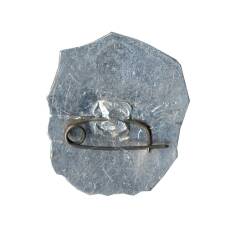 Значок И.Франко (вид 2)