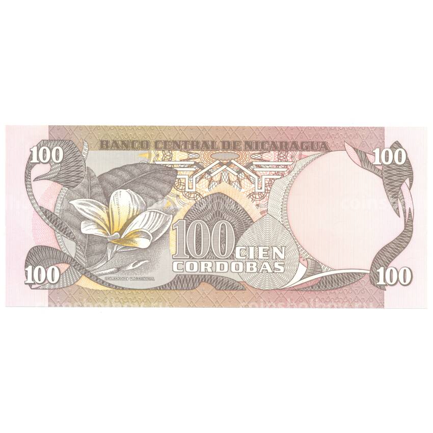 Банкнота 100 кордоба 1984 года Никарагуа (вид 2)