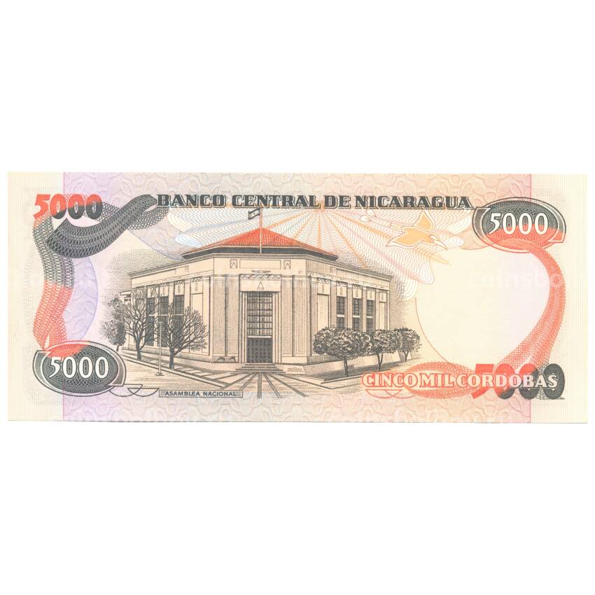 Банкнота 5000 кордоба 1985 года Никарагуа (вид 2)
