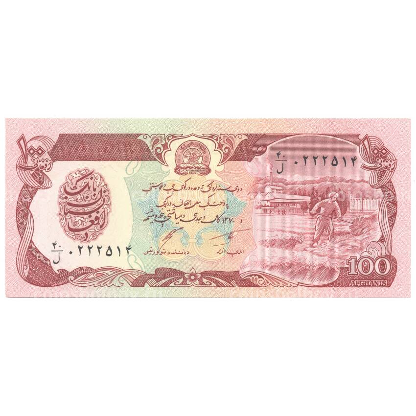 Банкнота 100 афгани 1991 года Афганистан
