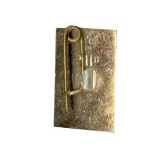 Значок Хоста (вид 2)