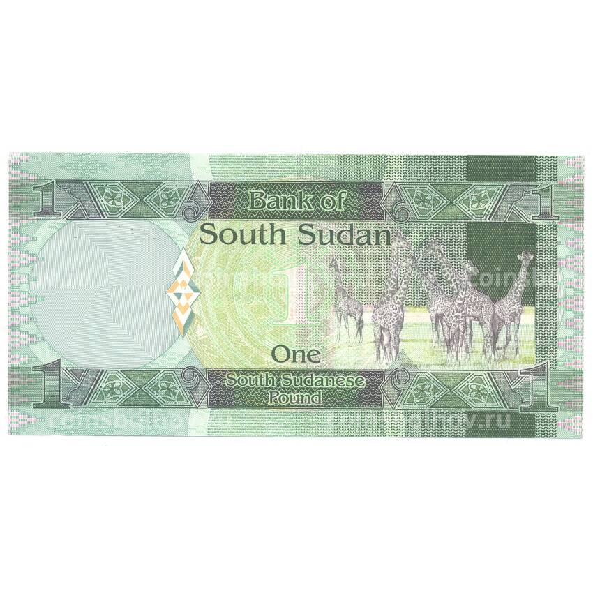 Банкнота 1 фунт 2011 года Южный Судан (вид 2)