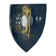 Значок Симферополь (вид 2)