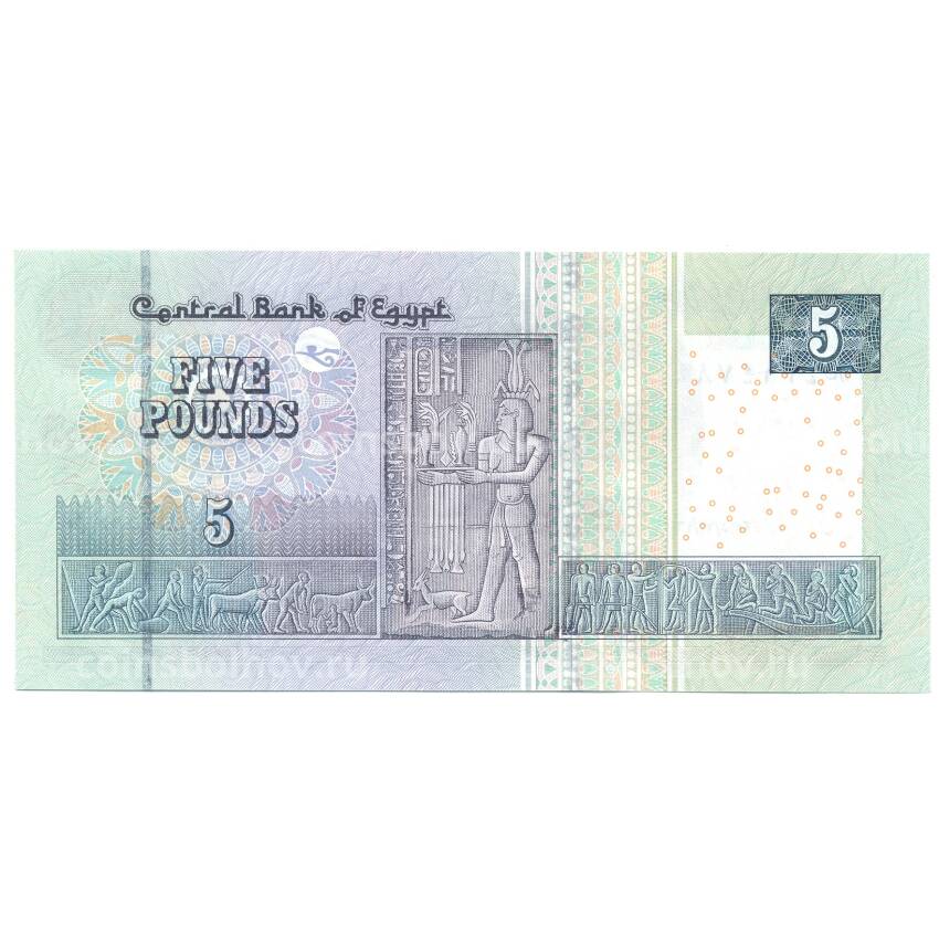 Банкнота 5 фунтов 2015 года Египет (вид 2)