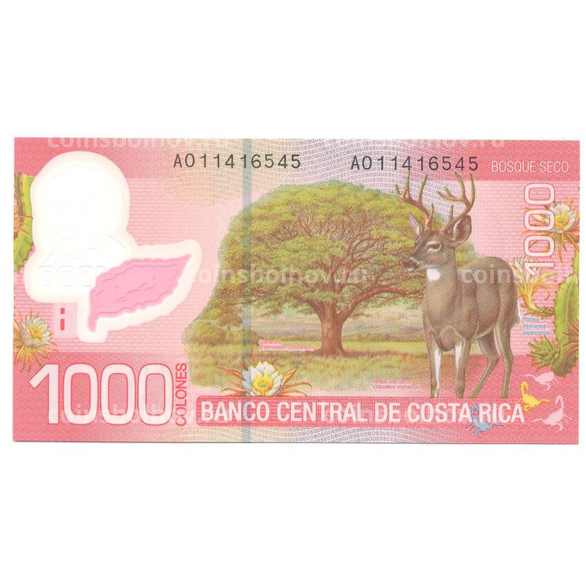 Банкнота 1000 колонов 2009 года Коста-Рика (вид 2)