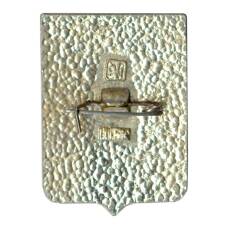 Значок Боровичи (вид 2)