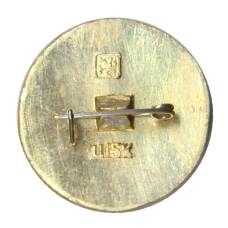 Значок Москва — Золотое кольцо (вид 2)