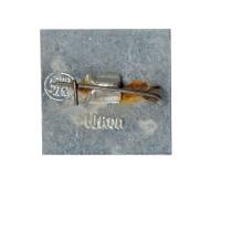 Значок Брестская крепость (вид 2)