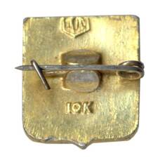 Значок Лужники (вид 2)