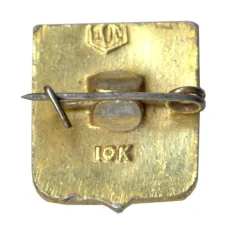 Значок Лужники (вид 2)