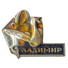 Значок Владимир