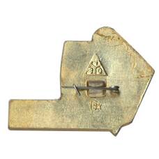 Значок Владимир (вид 2)