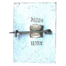 Значок Ростов (вид 2)