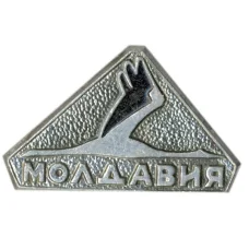 Значок Молдавия