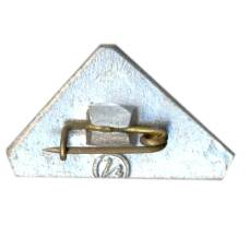 Значок Молдавия (вид 2)