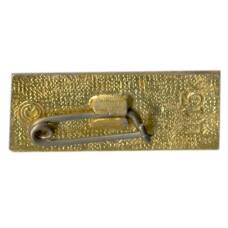 Значок Брест (вид 2)