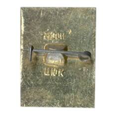 Значок Кострома (вид 2)