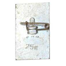 Значок Теплоход «Шота Руставели» (вид 2)