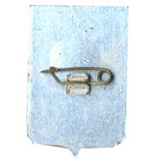 Значок Сочи (вид 2)