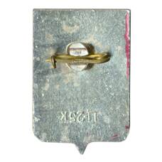 Значок Старая Русса (вид 2)