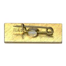 Значок Брест (вид 2)