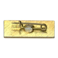 Значок Брест (вид 2)