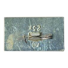 Значок Ясная Поляна (вид 2)