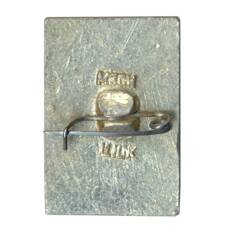 Значок Владимир (вид 2)