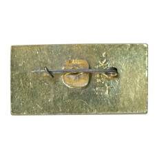 Значок Донецк (вид 2)